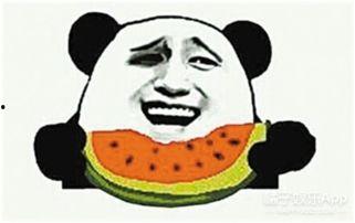 吃瓜群众贴吧最新消息